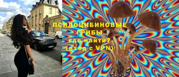 шишки Гусев