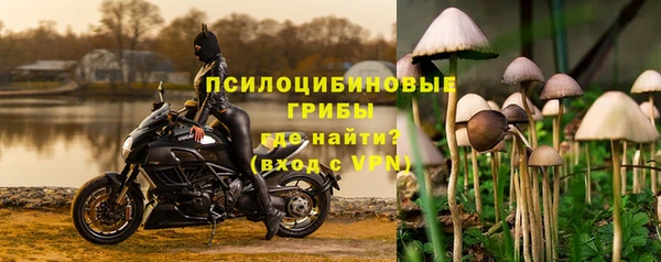 стафф Абаза