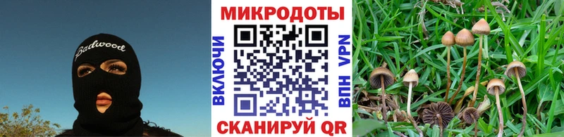 Псилоцибиновые грибы ЛСД  Удомля 