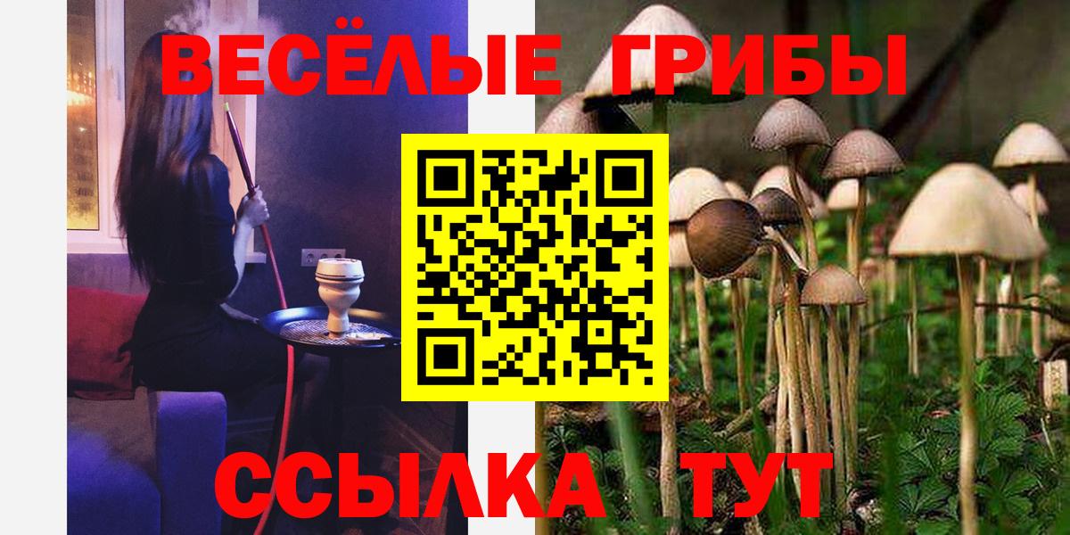 Псилоцибиновые грибы прущие грибы  купить  сайты  Галлюциногенные грибы Magic Shrooms  Удомля  Вход с VPN 