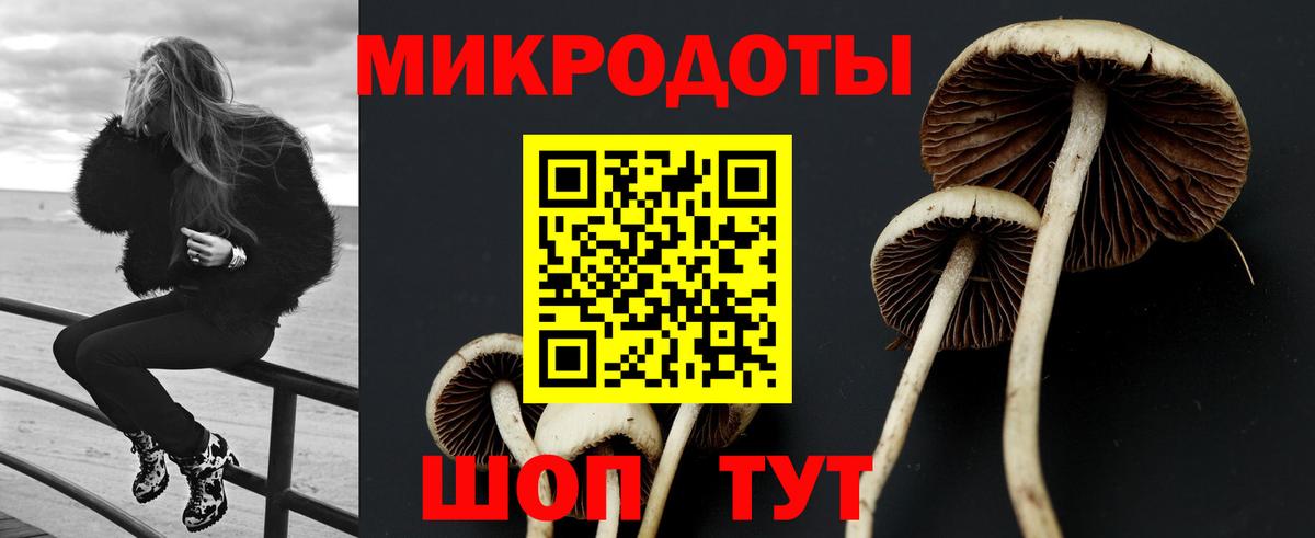 Псилоцибиновые грибы ЛСД Удомля